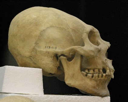 南米ペルーで発見された縦長の頭蓋骨のdna 初期解析の結果 Runesa